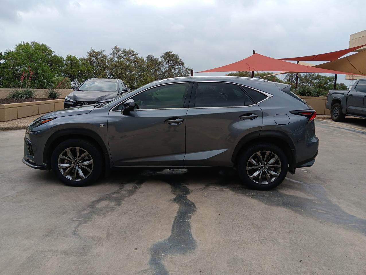 2021 Lexus NX 300 F SPORT