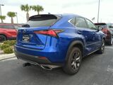 2021 Lexus NX 300 F Sport Oshkosh WI
