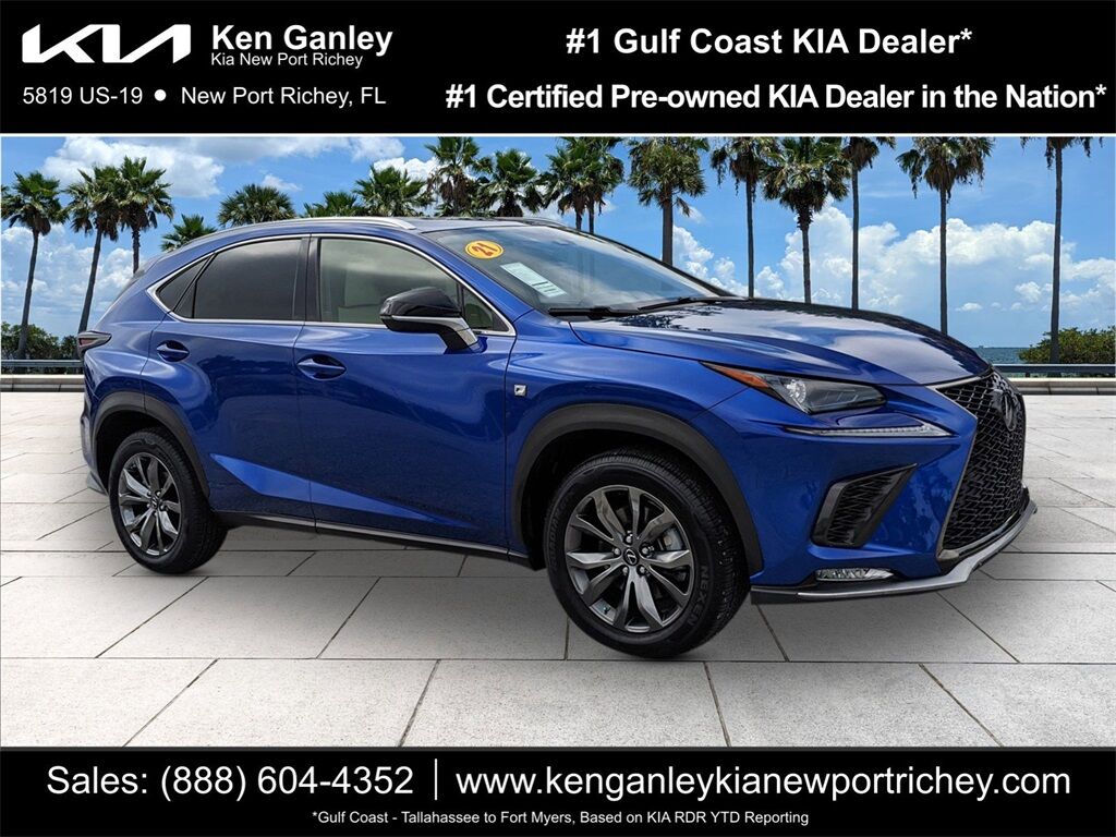 2021 Lexus NX 300 F Sport Oshkosh WI