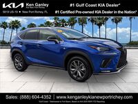 2021 Lexus NX 300 F Sport