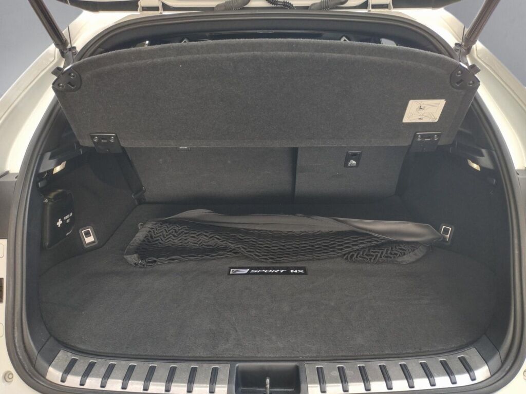 2021 Lexus NX 300 F Sport Richmond VA