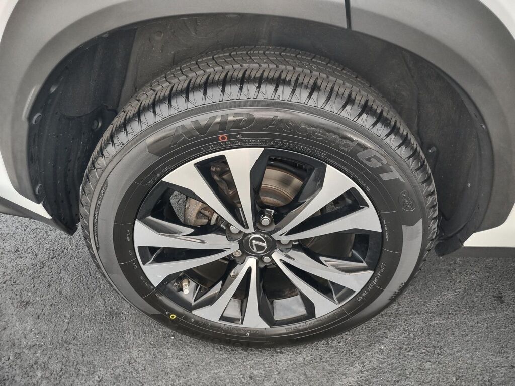 2021 Lexus NX 300 F Sport Richmond VA