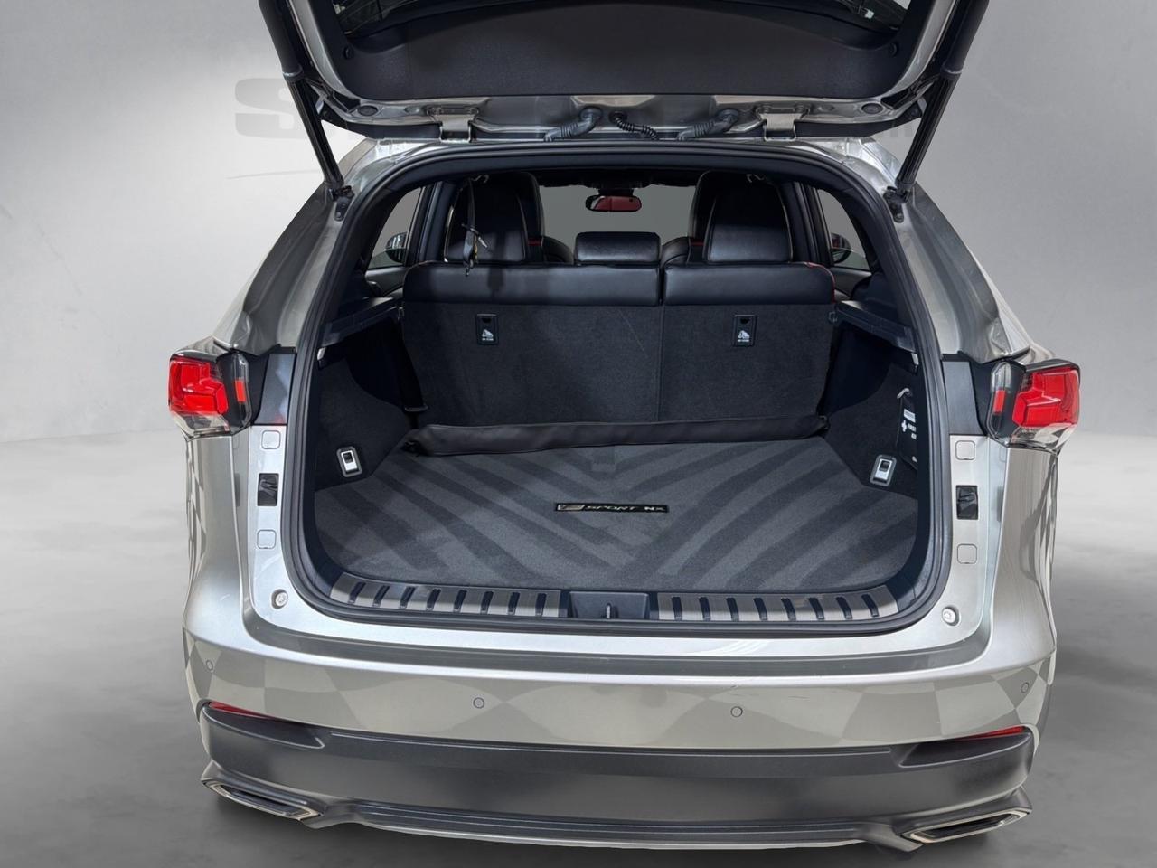 2021 Lexus NX 300 F Sport Annapolis MD