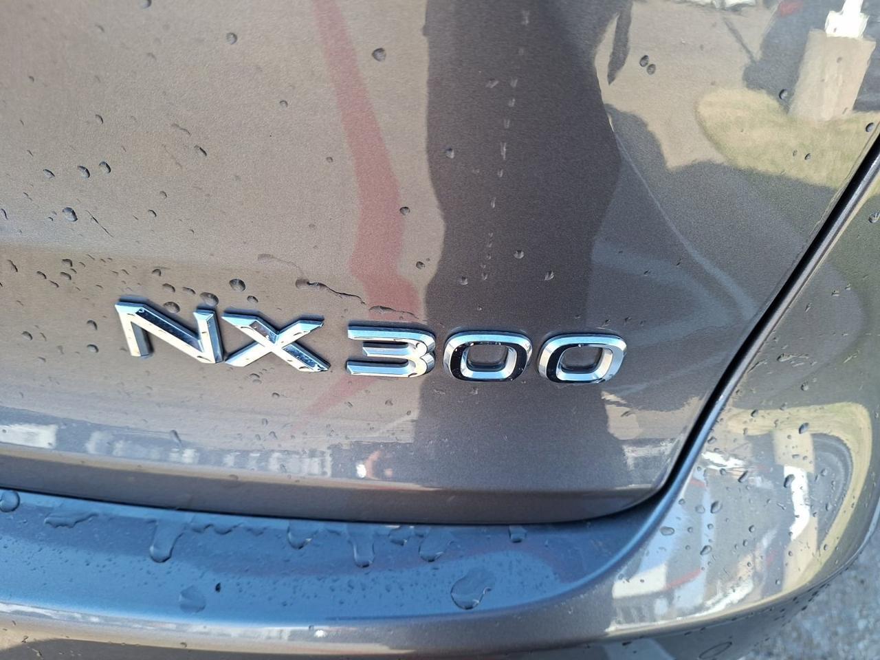 2021 Lexus NX 300 Hurst TX