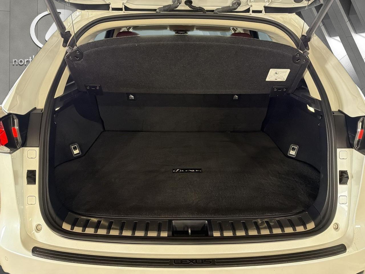 2021 Lexus NX 300 San Antonio TX