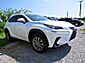 2021 Lexus NX 300 Wilson NC