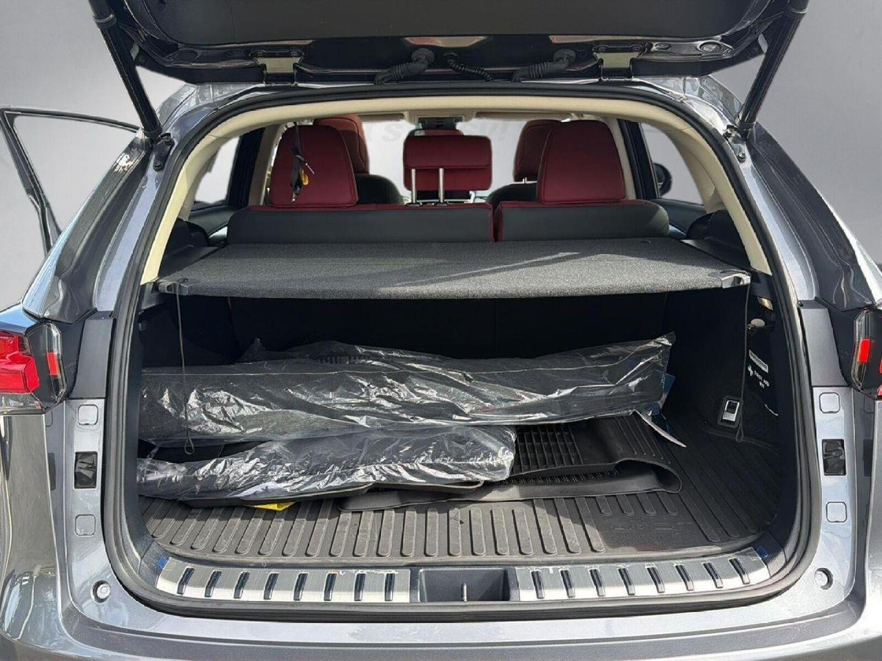 2021 Lexus NX 300 Gaithersburg MD