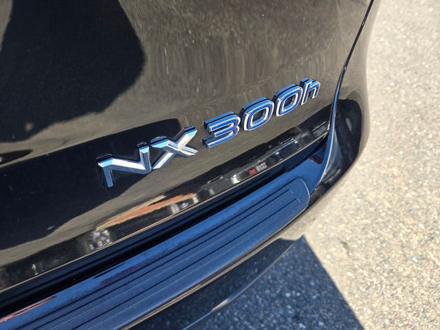 2021 Lexus NX 300h Folsom CA