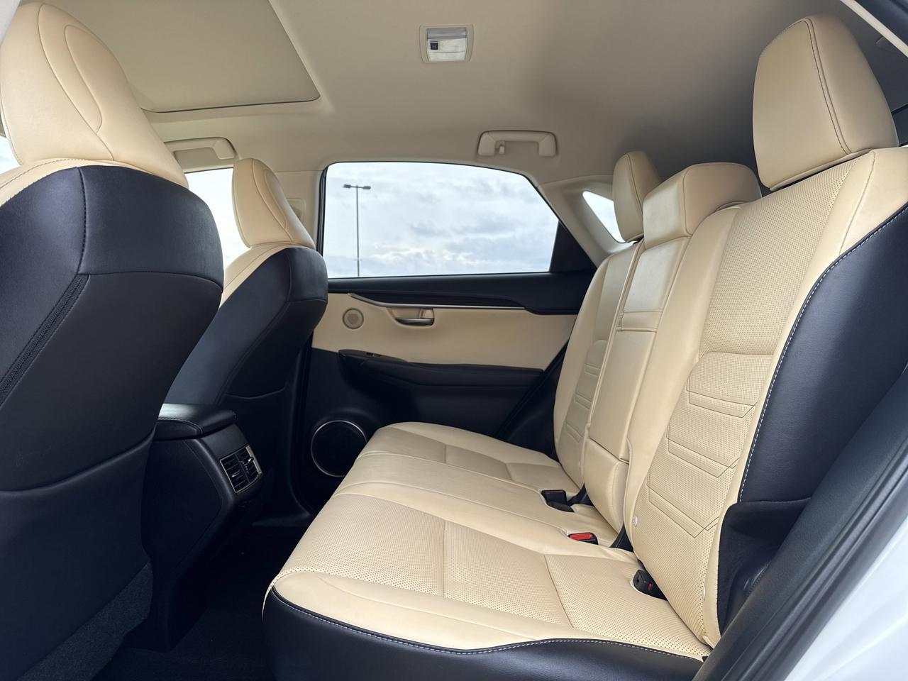 2021 Lexus NX 300h Luxury San Antonio TX