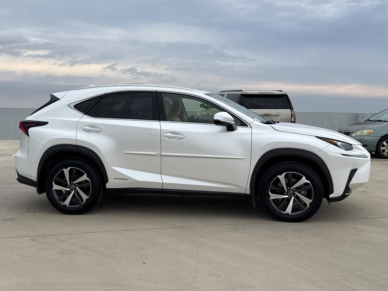 2021 Lexus NX 300h Luxury San Antonio TX