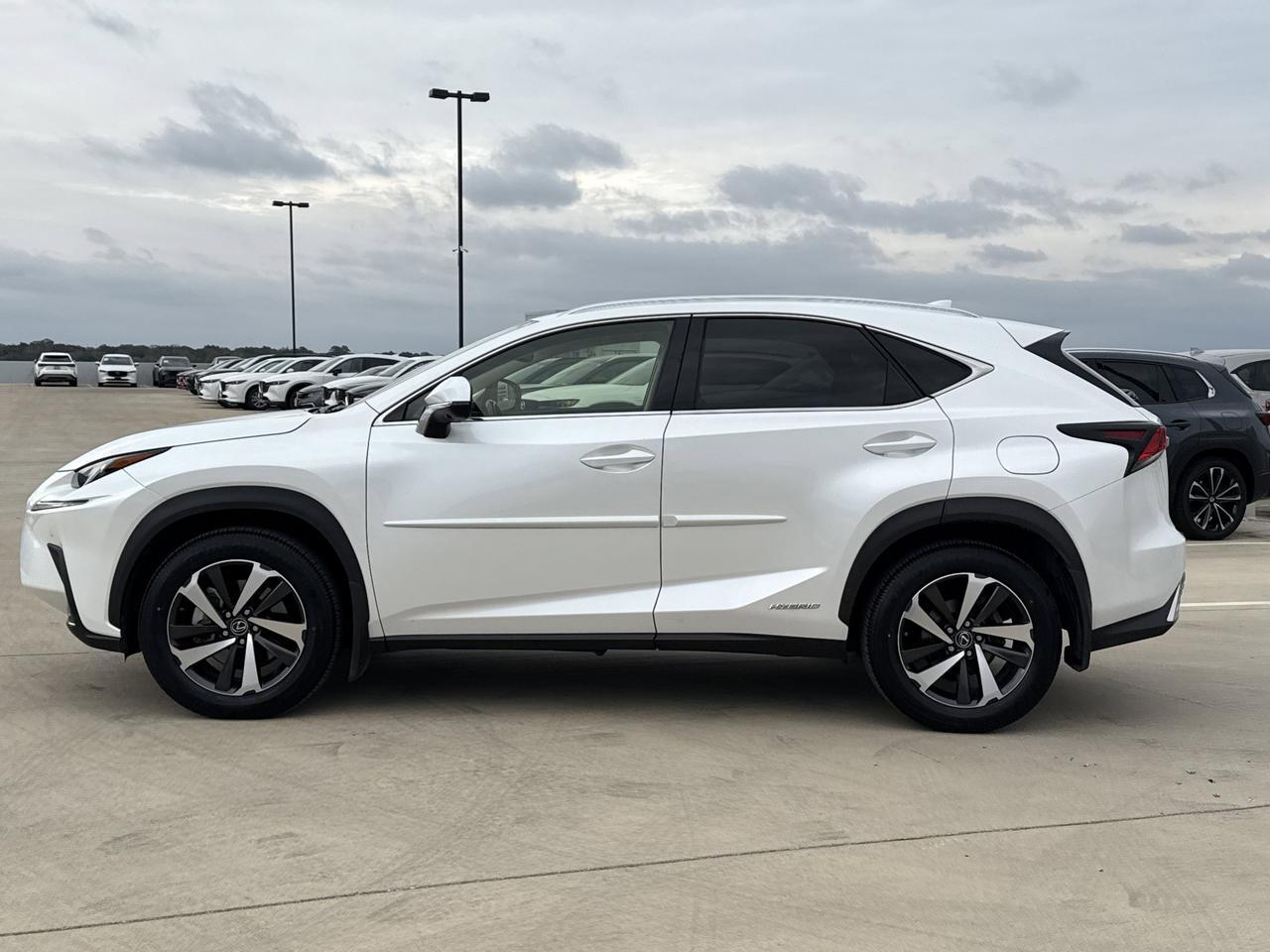 2021 Lexus NX 300h Luxury