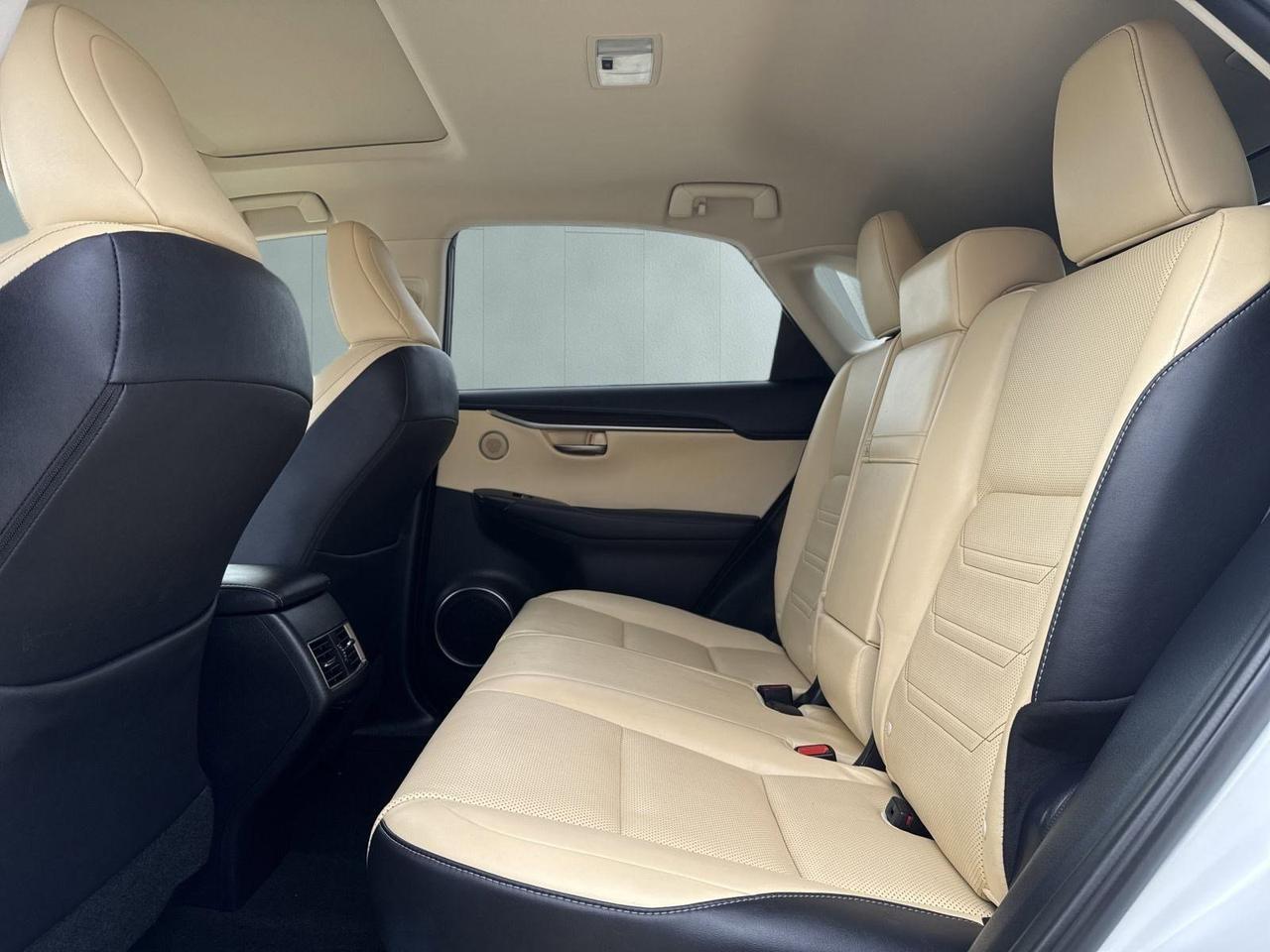 2021 Lexus NX 300h Luxury San Antonio TX