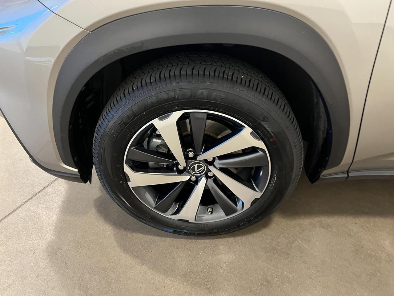 2021 Lexus NX 300h Parker CO