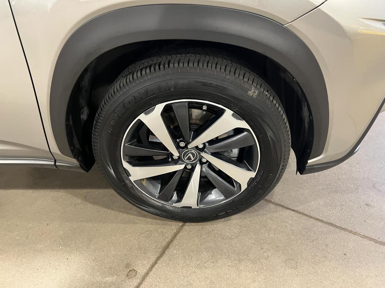 2021 Lexus NX 300h Parker CO
