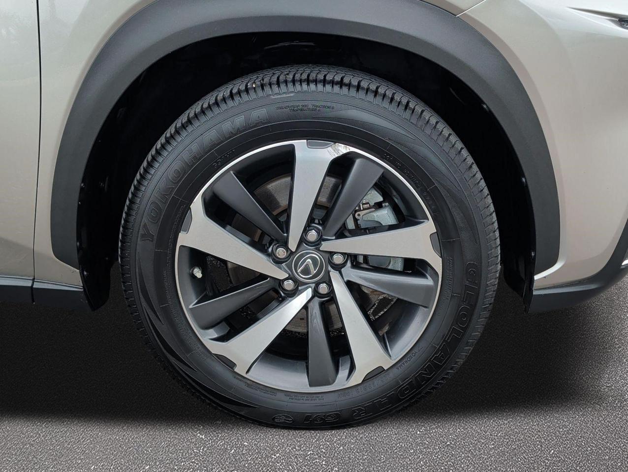 2021 Lexus NX 300h San Juan TX
