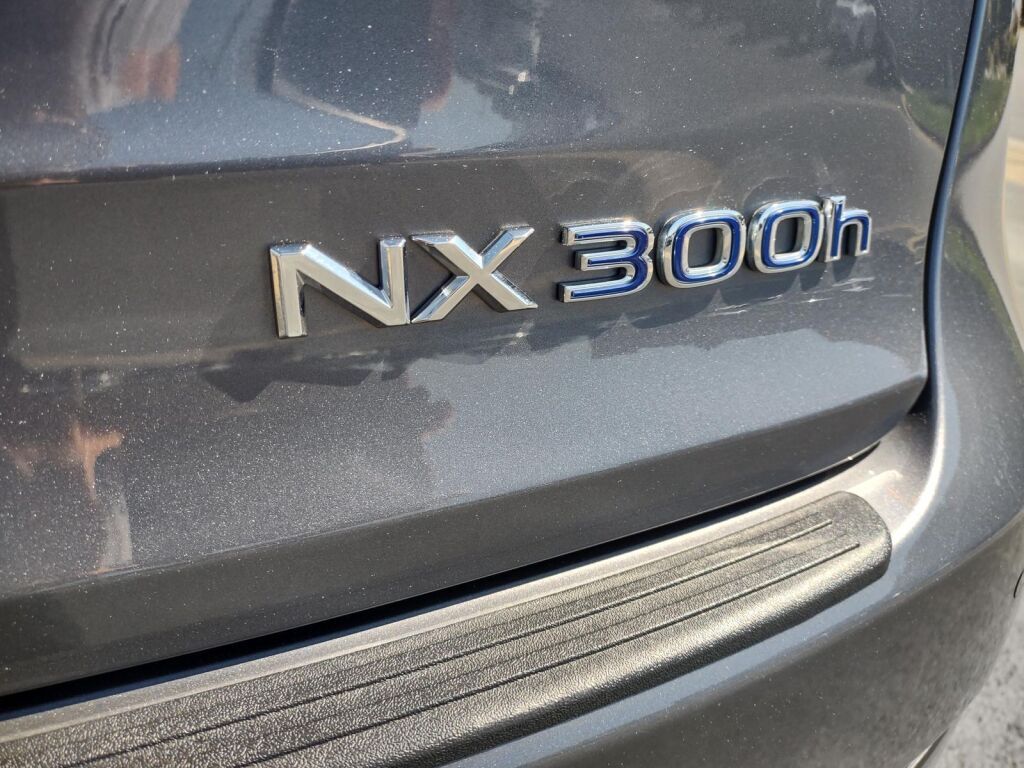 2021 Lexus NX 300h Richmond VA