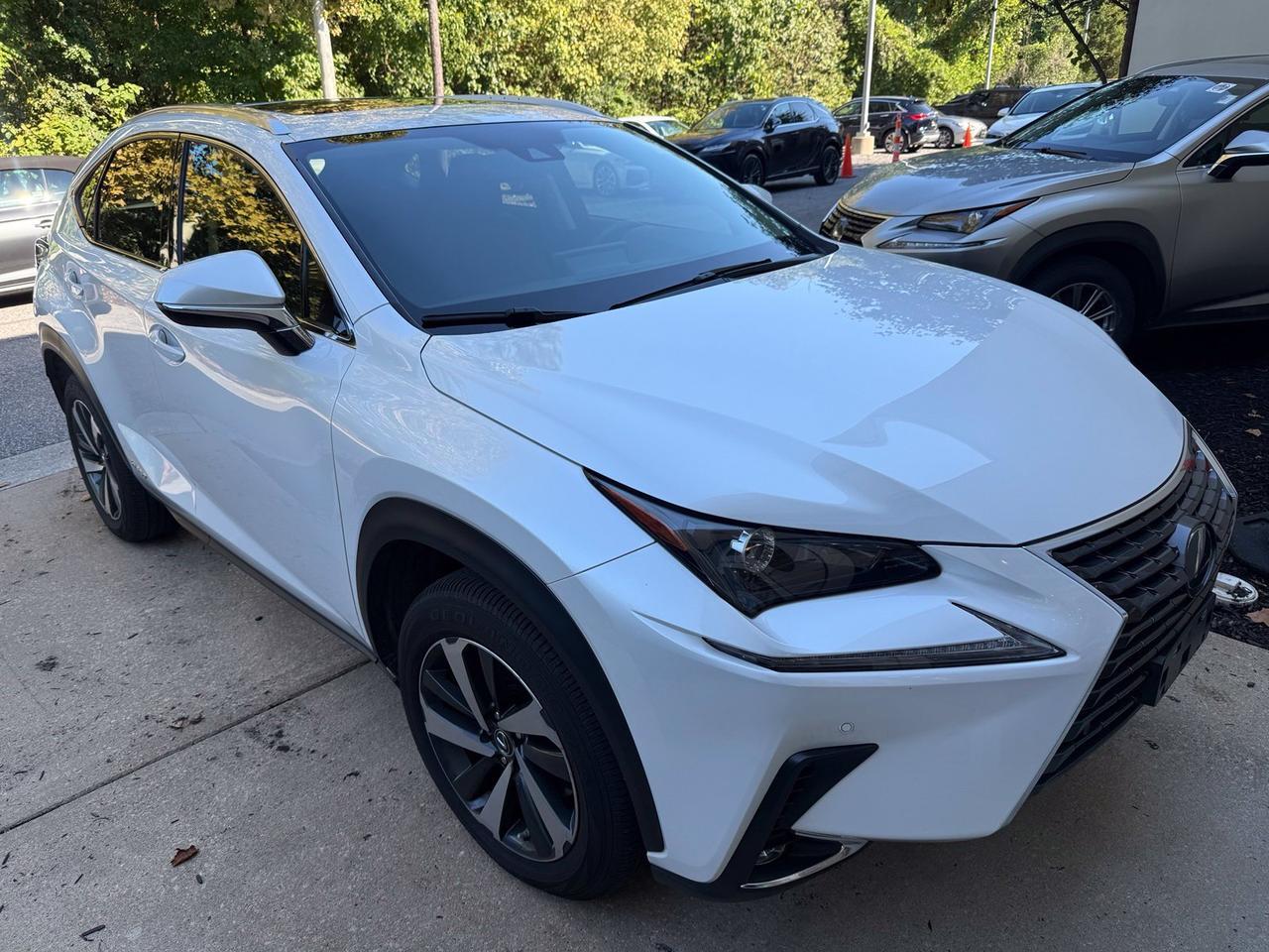 2021 Lexus NX 300h Annapolis MD