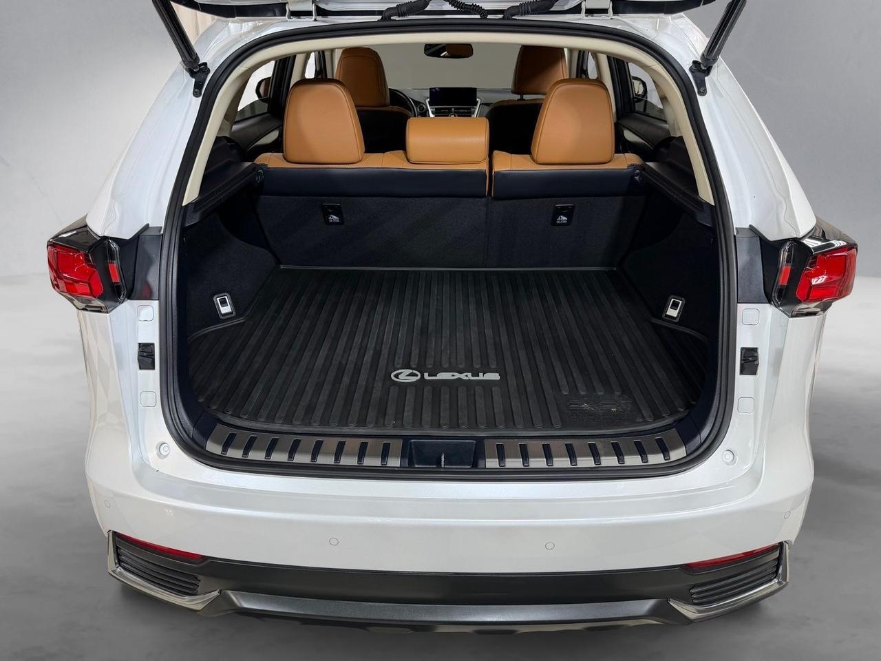 2021 Lexus NX 300h Annapolis MD