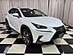 2021 Lexus NX 300h