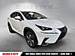 2021 Lexus NX 300h