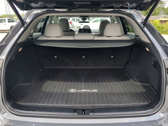 2021 Lexus RX 350 Appleton WI