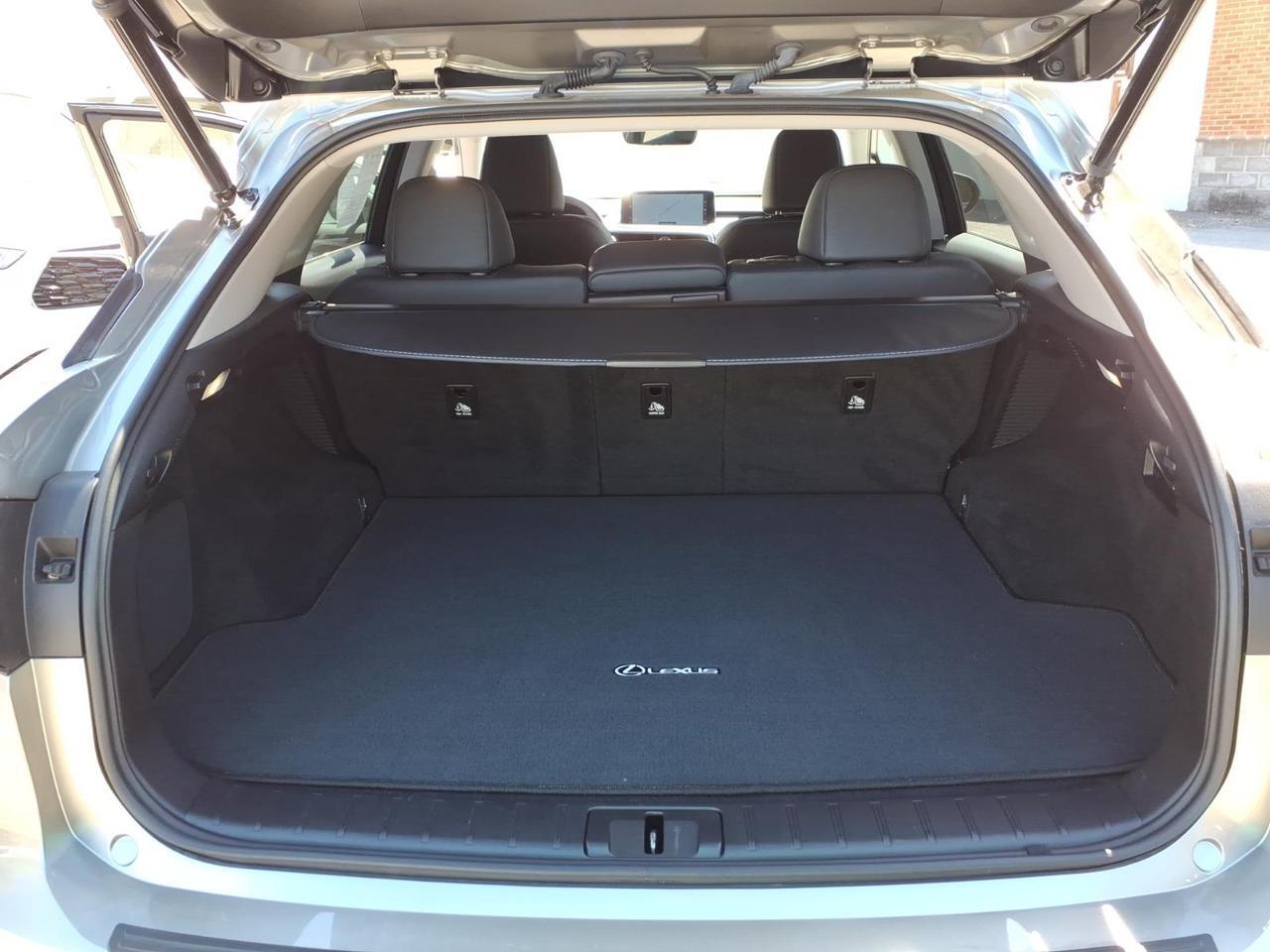 2021 Lexus RX 450h Base Roanoke VA