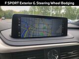 2021 Lexus RX 450h F Sport Oshkosh WI