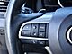 2021 Lexus RX 450h F Sport Oshkosh WI