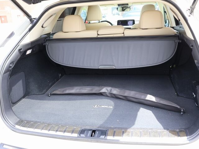2021 Lexus RX 450h Oshkosh WI