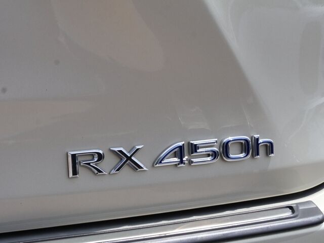 2021 Lexus RX 450h Oshkosh WI