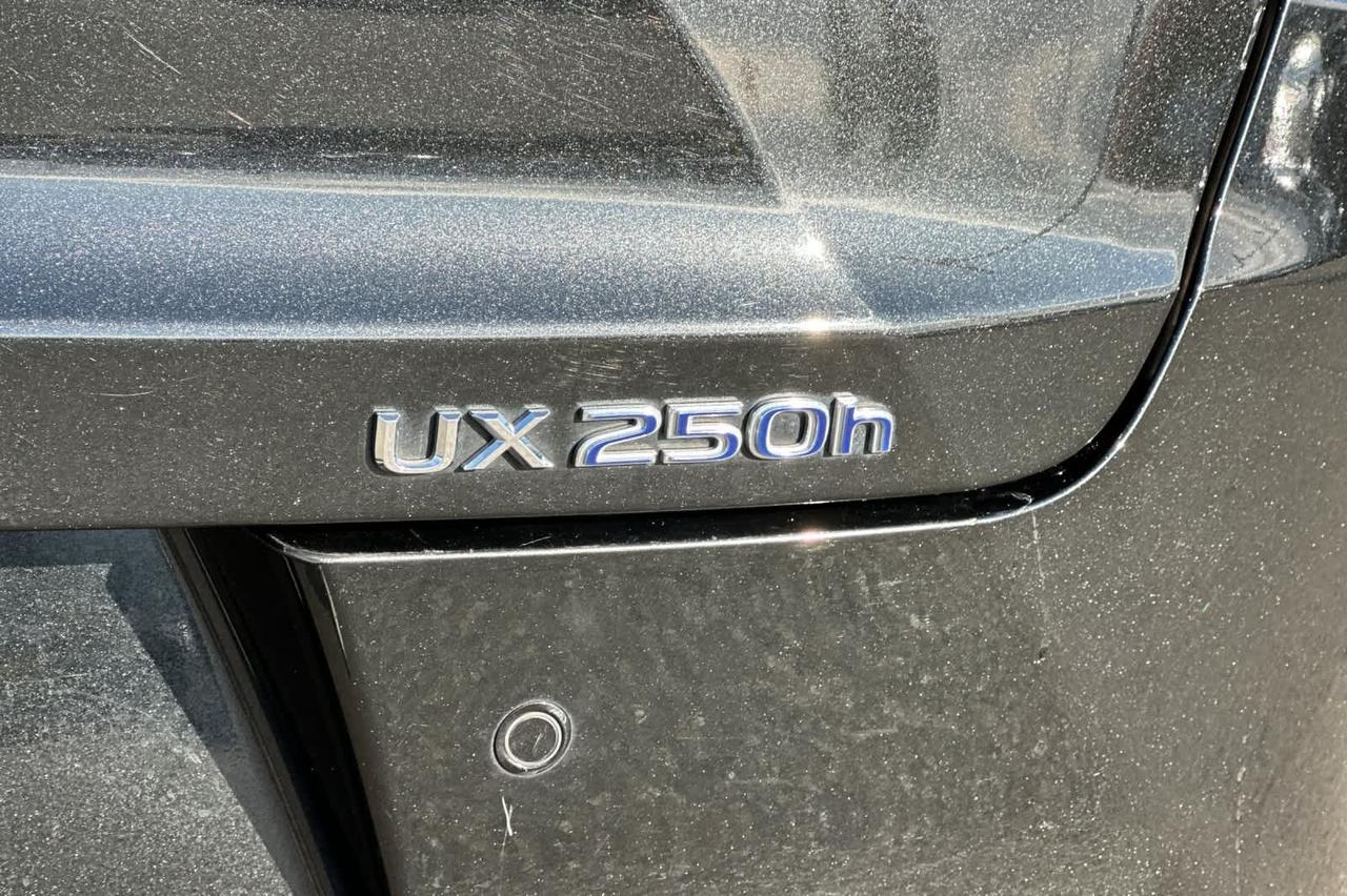 2021 Lexus UX Roseville CA