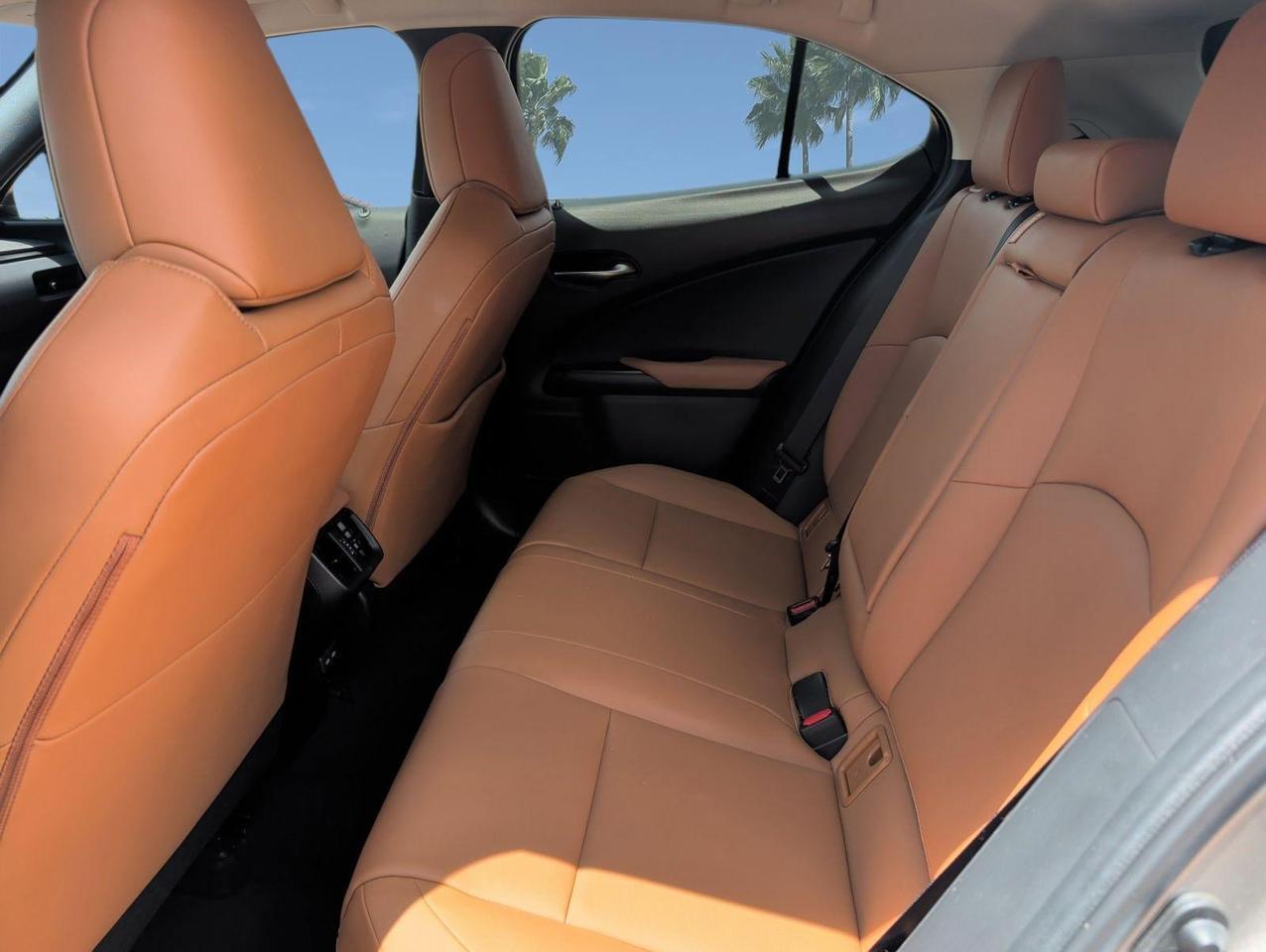 2021 Lexus UX 200 San Juan TX