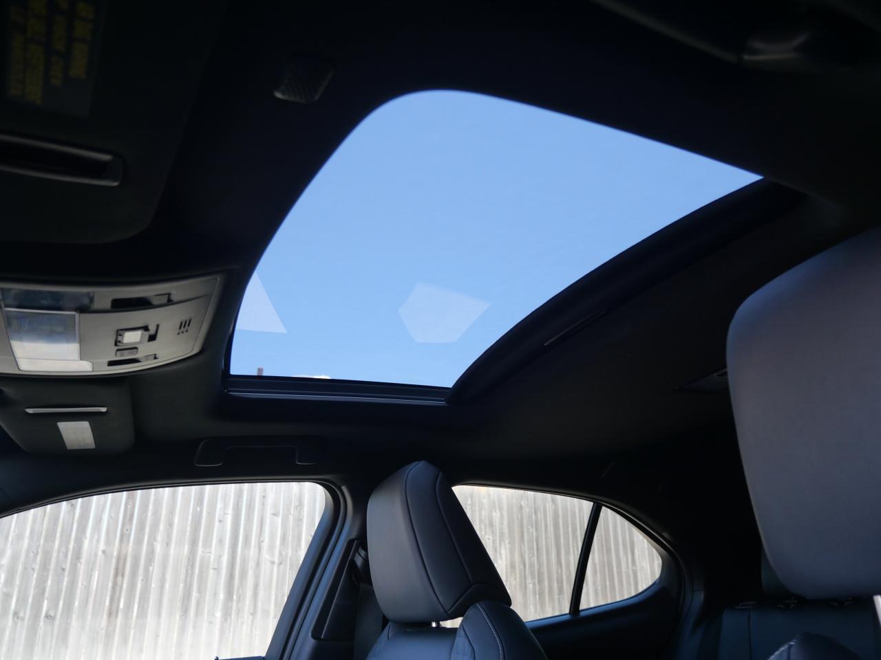 2021 Lexus UX 200 San Juan TX