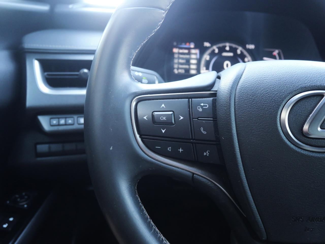 2021 Lexus UX 200 San Juan TX