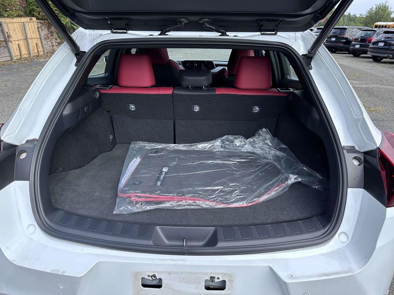 2021 Lexus UX 250h F SPORT San Clemente CA