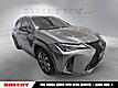 2021 Lexus UX 250h F SPORT
