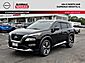 2021 Nissan Rogue Platinum Glendale Heights IL