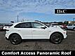 2021 Porsche Cayenne E-Hybrid Base Comfort Access Panoramic Roof