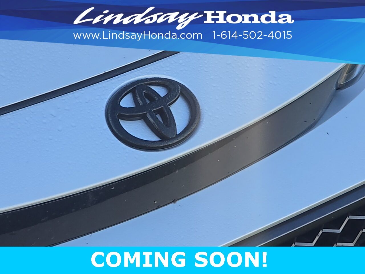 2021 Toyota Corolla APEX SE Columbus OH