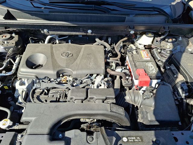 2021 Toyota RAV4 XLE Raleigh NC