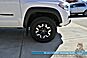 2021 Toyota Tacoma 4WD TRD Off Road / 4X4 / Crew Cab / Power Premium Cloth Seats / Lane Departure & Blind Spot Alert / Apple CarPlay & Android Auto / Back Up Camera / Color Matched Leer Canopy / Keyless Entry & Start / Tow Pkg Anchorage AK