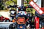 2021 Ural Limited Edition GEO Boston MA