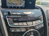 2022 Acura RDX A-Spec Package Oshkosh WI
