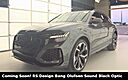 2022 Audi RS Q8 4.0T
