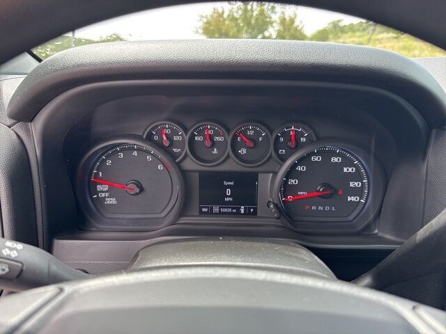 2022 Chevrolet Silverado 1500 LTD Custom Trail Boss  TX