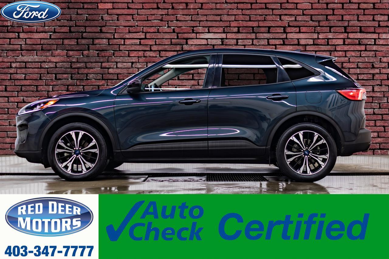 2022 Ford Escape AWD SE Nav BCam PSeat