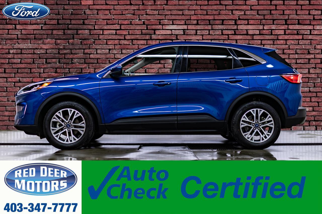 2022 Ford Escape AWD SEL Leather BCam
