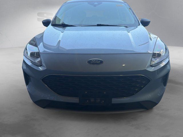 2022 Ford Escape Hybrid SE Gaithersburg MD