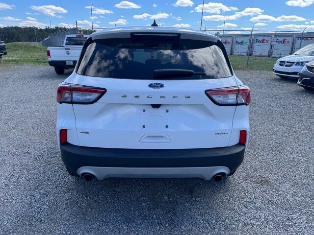 2022 Ford Escape SE AWD Ashland VA