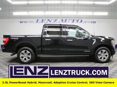 2022 Ford F-150 4x4 SuperCrew Platinum Video